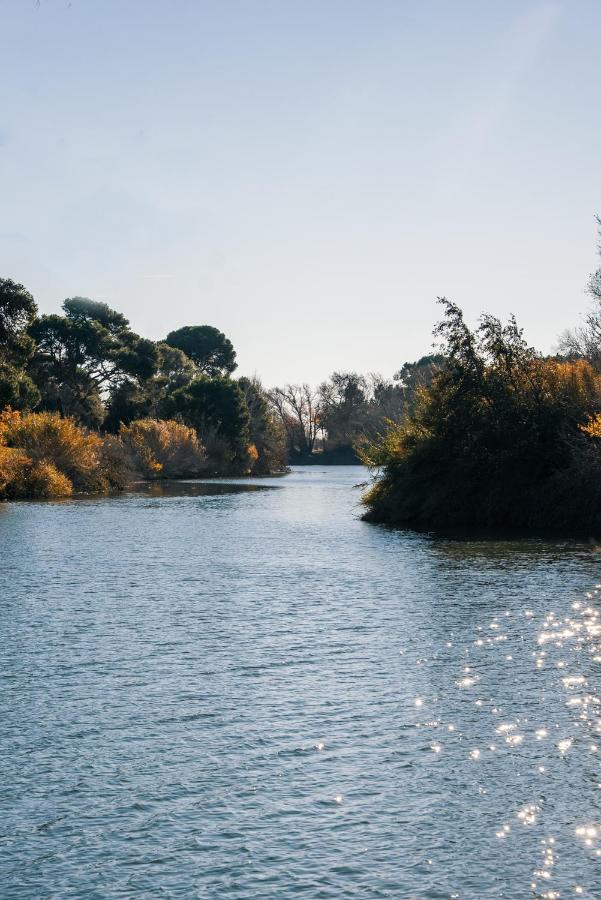 Domaine De Merins, 10 Couchages Avec Piscine, Face A La Riviere, A 4Km De La Plage 弗勒里 外观 照片